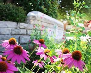 Stonebridge Ranch Community Flower Beds