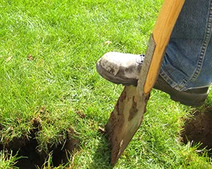 Landscaper using shovel to dig