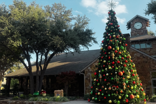 SBR Holiday Tree - Update from GM Dec 2025