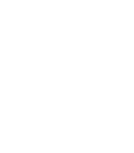 Stonebridge Ranch White Logo
