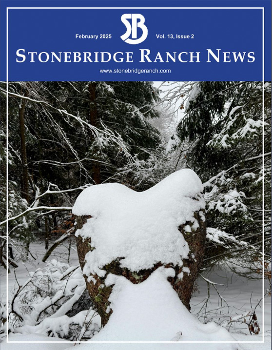 Stonebridge Ranch Community Association Magazine February 2025